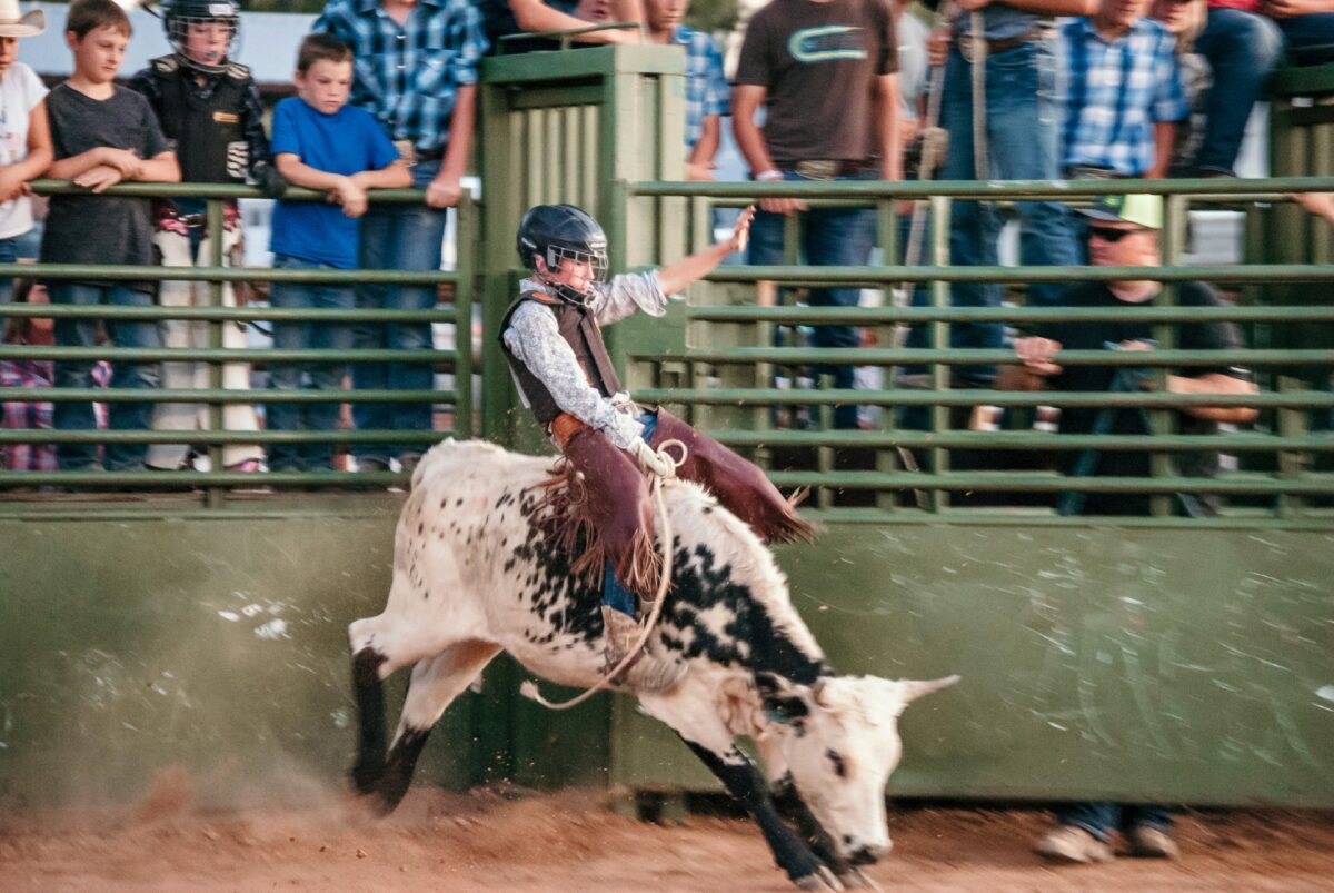 County fair events beginning this weekend | News, Sports, Jobs - Daily ...